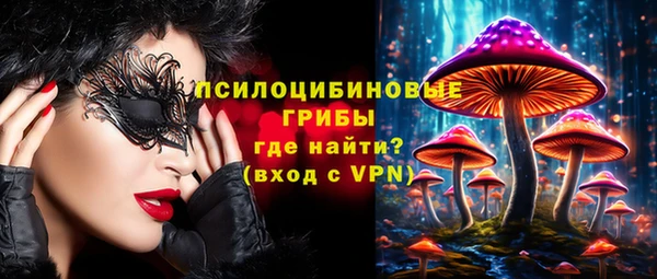 ALPHA-PVP Горняк