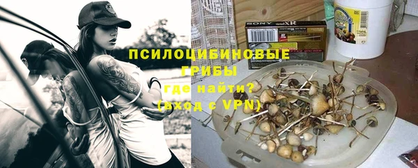 стафф Горно-Алтайск