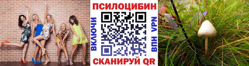 Галлюциногенные грибы MAGIC MUSHROOMS как найти Можга